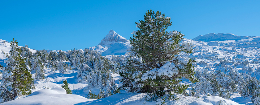 Aperçu de la collection photographique consacrée aux paysages des Pyrénées