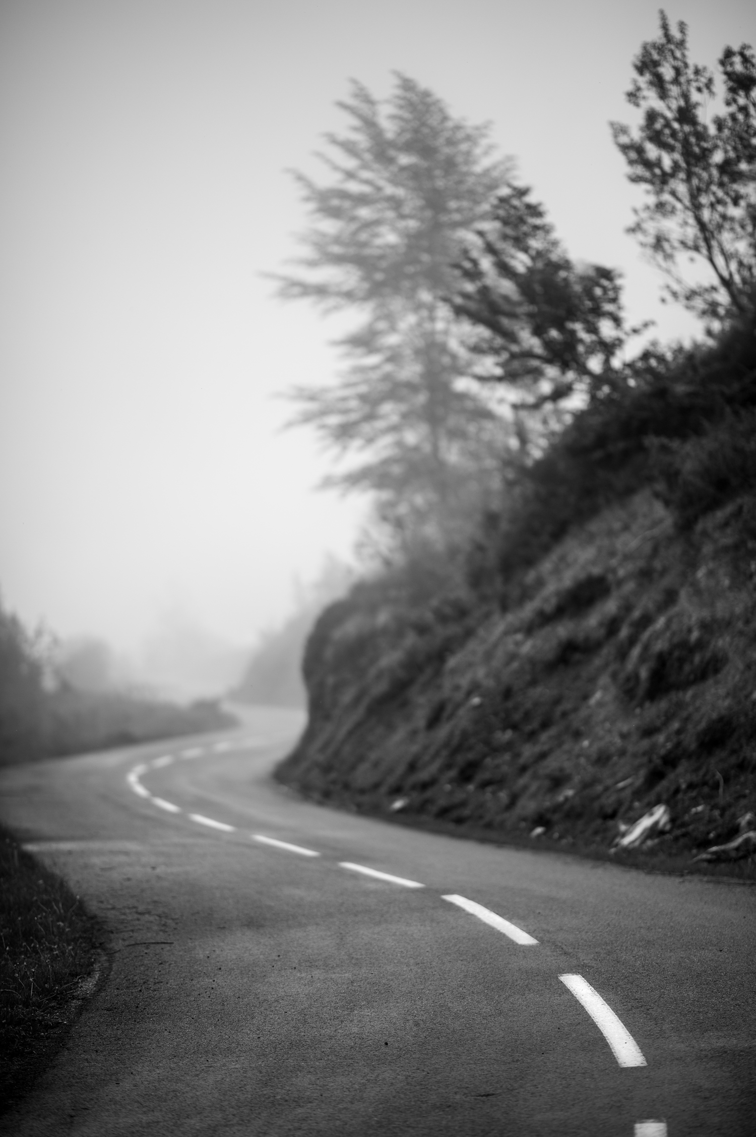 Brume - route de montagne sinueuse, talus rocheux et arbres partiellement masqués par le brouillard