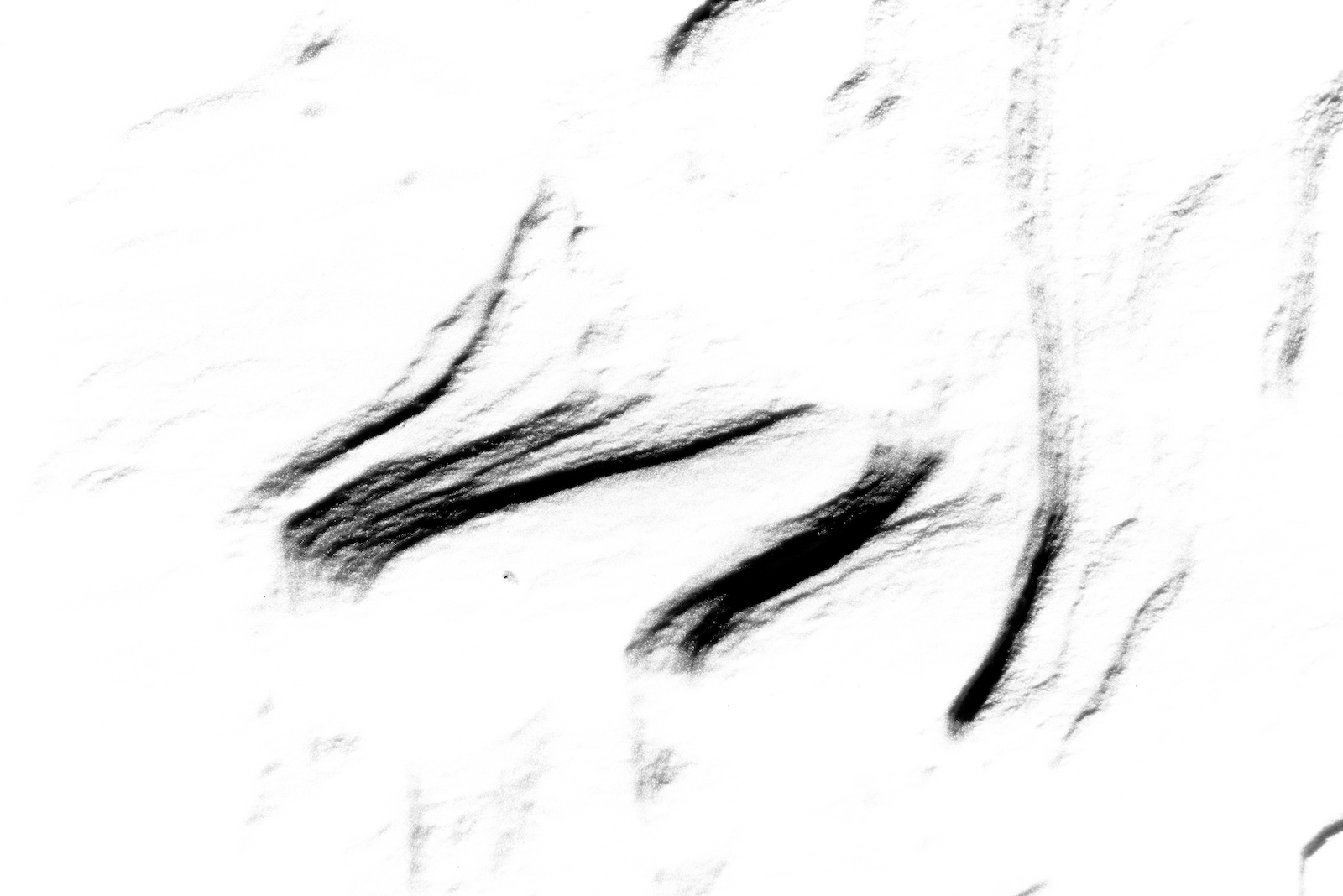 Blackout — image finale obtenue par superpositions quotidiennes, énergie colorée (image 02)