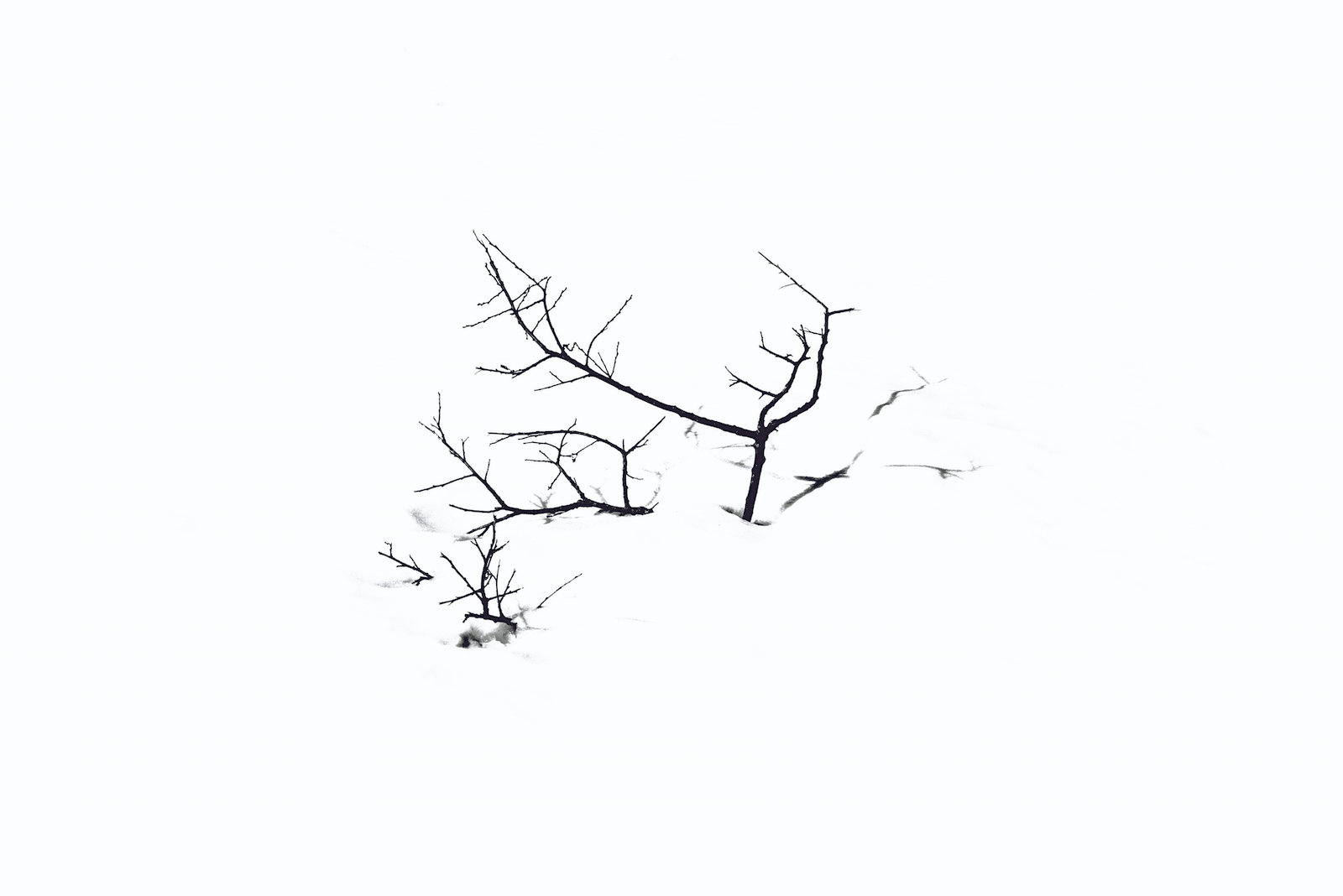 Blackout — image finale obtenue par superpositions quotidiennes, énergie colorée (image 02)